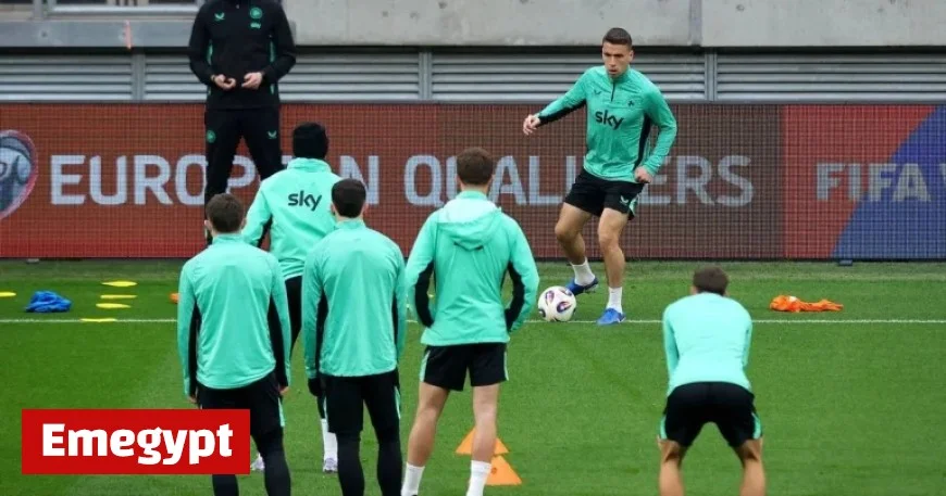 Unveiling Heimir Hallgrimsson’s Unique Tribute to Seamus Coleman Featuring Vacuums and Batteries