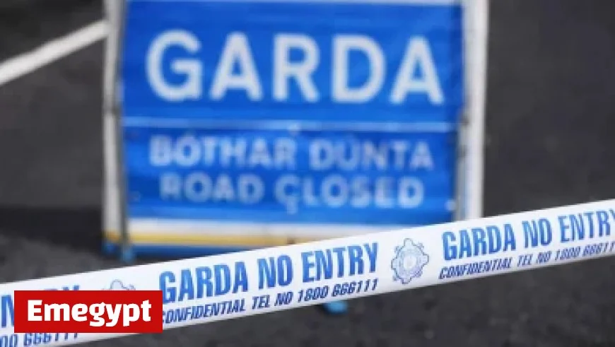 Hallgrimsson Praises Seamus Coleman with Ultimate Compliment as ‘Battery’ Leader