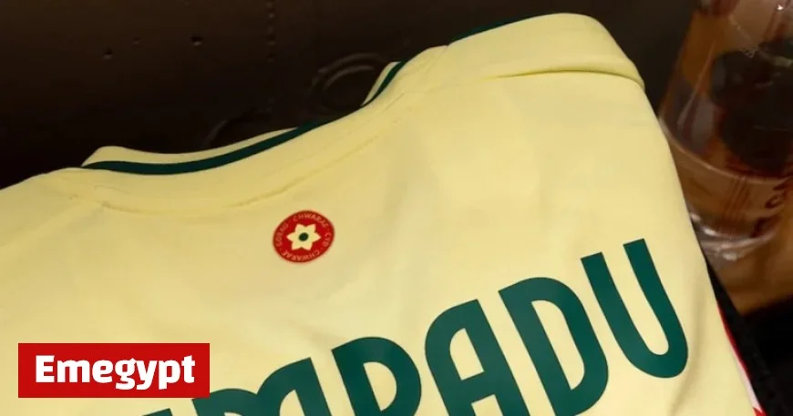 Ampadu Leads Wales to Victory as Leeds Quartet Shines Against Liechtenstein