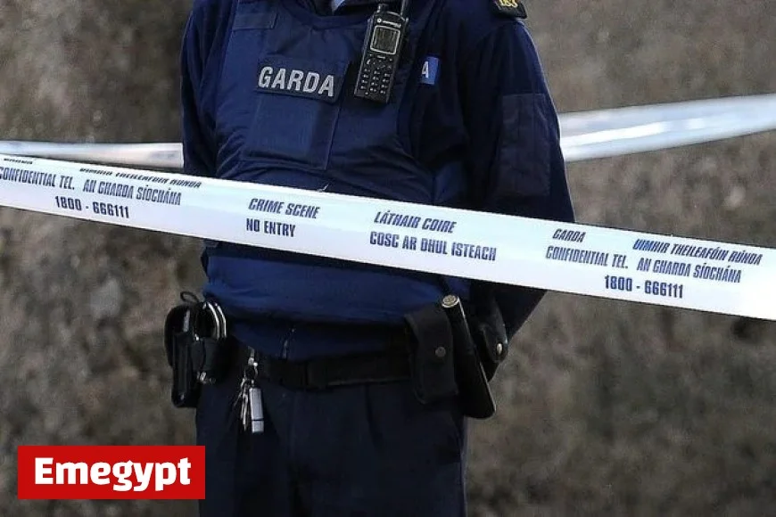 Tragic Death in Cork: 38-Year-Old Man Fatally Stabbed in Chest at Home