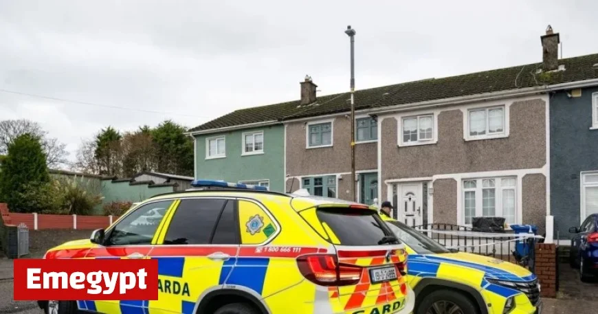 Breaking News: Arrest Made Following Fatal Stabbing in Hollyhill