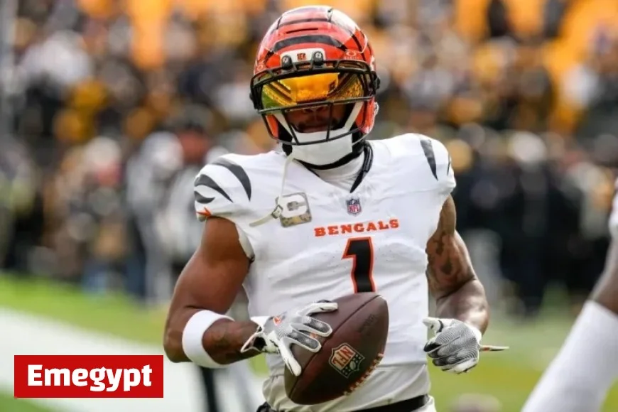 Is Ja’Marr Chase Injured? Examining the Bengals Star’s Performance After Week 11 Against Steelers