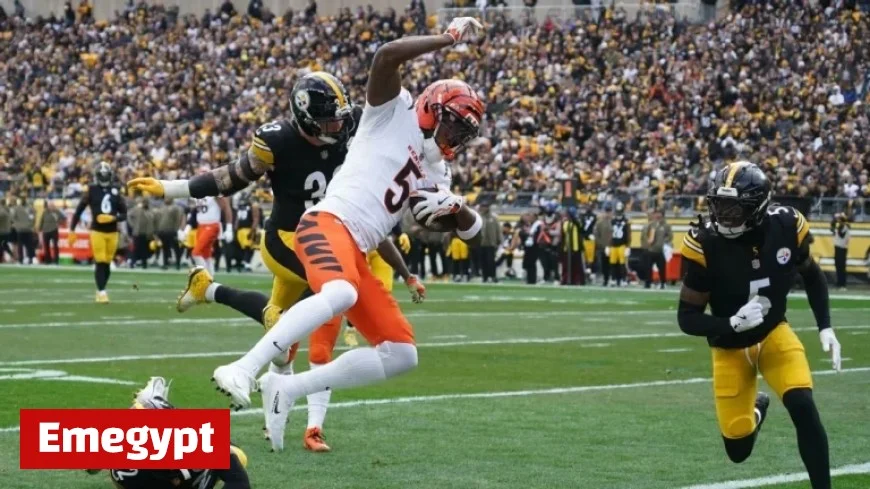 NFL Week 11 Highlights: Tee Higgins Secures Spectacular Long Touchdown from Joe Flacco