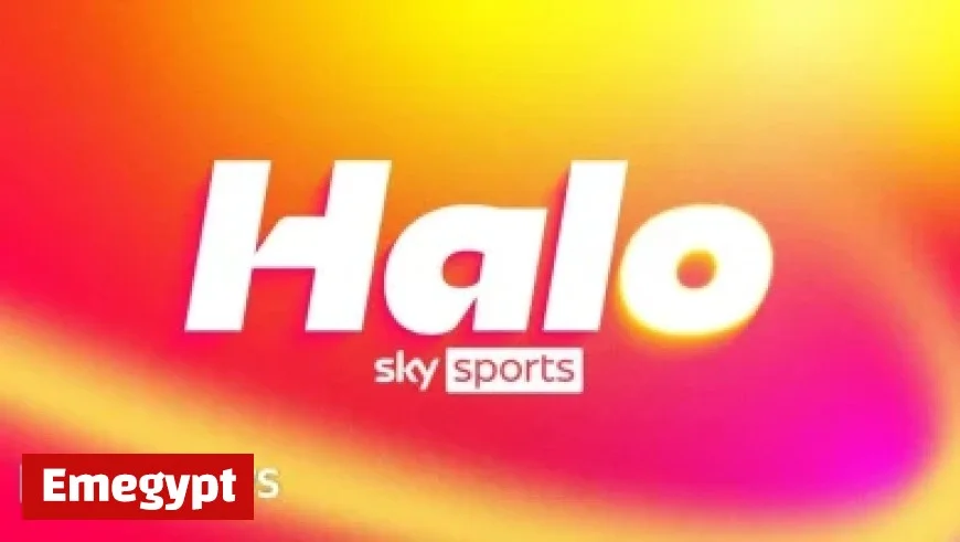 Gerry Hutch Faces €790k CAB Tax Bill Following Raids on Lanzarote and Dublin Homes Amidst Allegations of Nonpayment