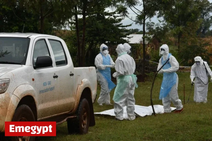 Unveiling the Next Black Swan Exploring the Pandemic Potential of Marburg Virus