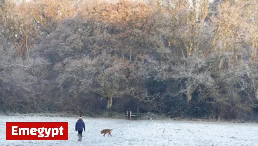 Virgin Customers Get Exciting Free TV Upgrade with Sports and Popular British Shows Today