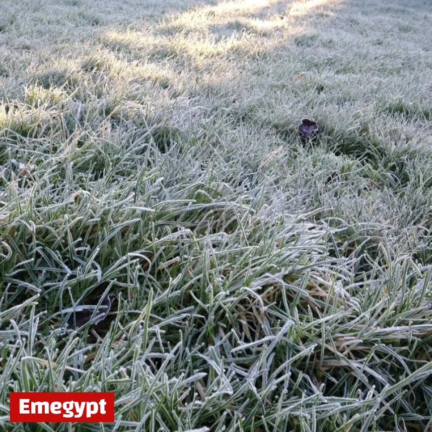 Experience a Chilly Week Ahead with Abundant Dry Weather