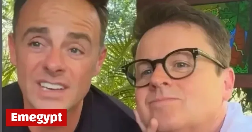 Ant McPartlin Calls Out ‘Stupidity’ After Stepping Away from I’m A Celebrity