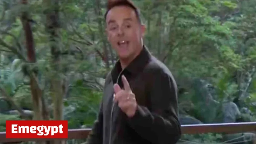 Ant McPartlin Blasts I’m A Celebrity Contestants as ‘A Bunch of Idiots’ in Fiery Critique