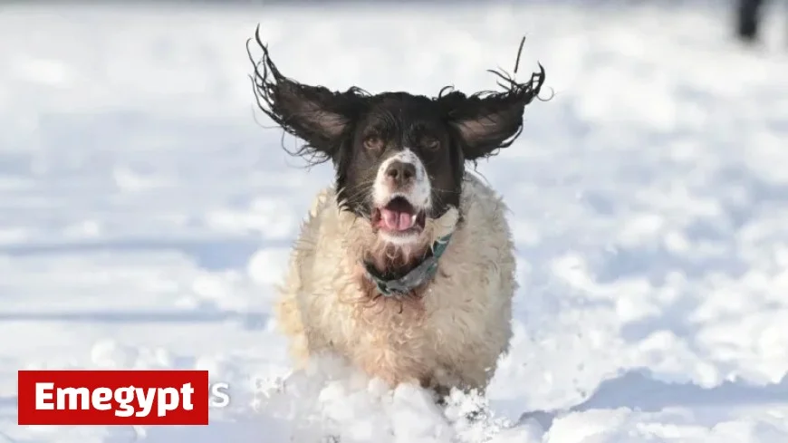 NI Weather Alert: Brace for Potential Disruption with Yellow Snow and Ice Warning
