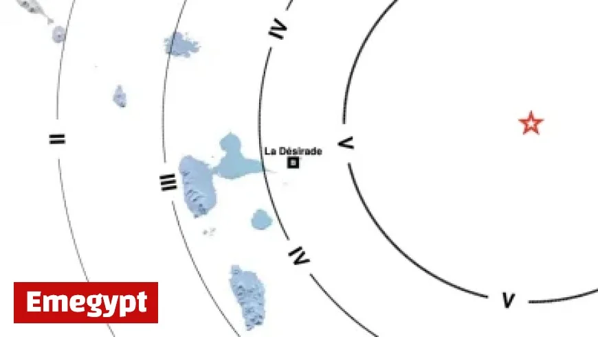 Discover Eric Nuttall’s Top Investment Picks for November 17 2025