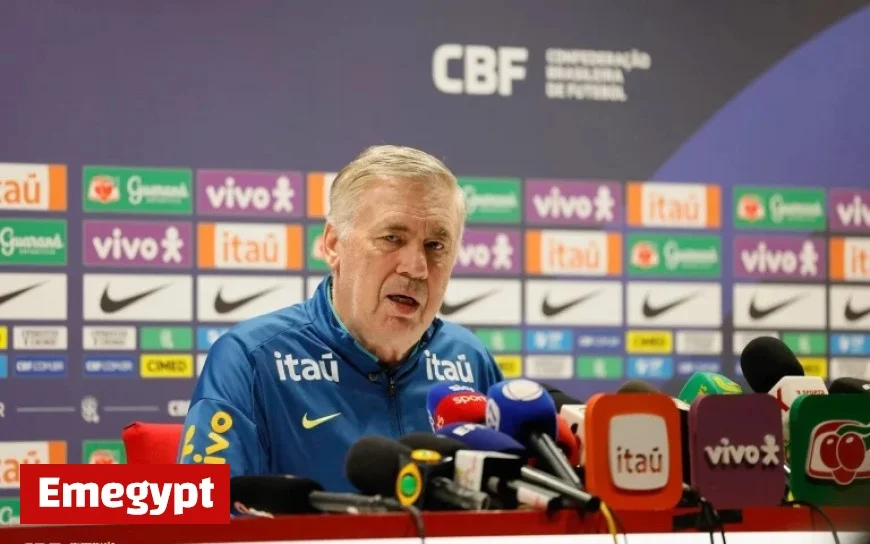 Palmeiras and Flamengo Fans React to National Team Lineup Predicting Low Viewership