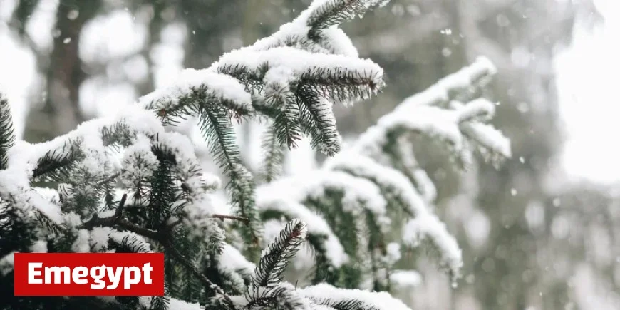 Amber Alert Issued Amid Ongoing Cold Weather Conditions