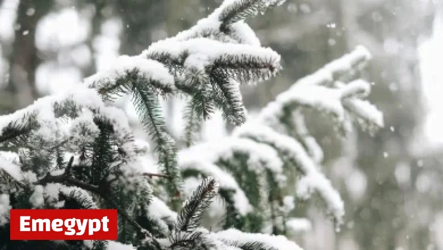 Exploring Jack Osbourne’s Tumultuous Journey: From Wild Nights with Ozzy to Heartfelt Connections