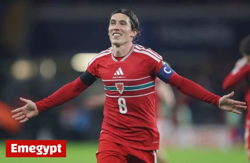 Wales Victory Sends Ireland to Pot 3 for World Cup Playoffs