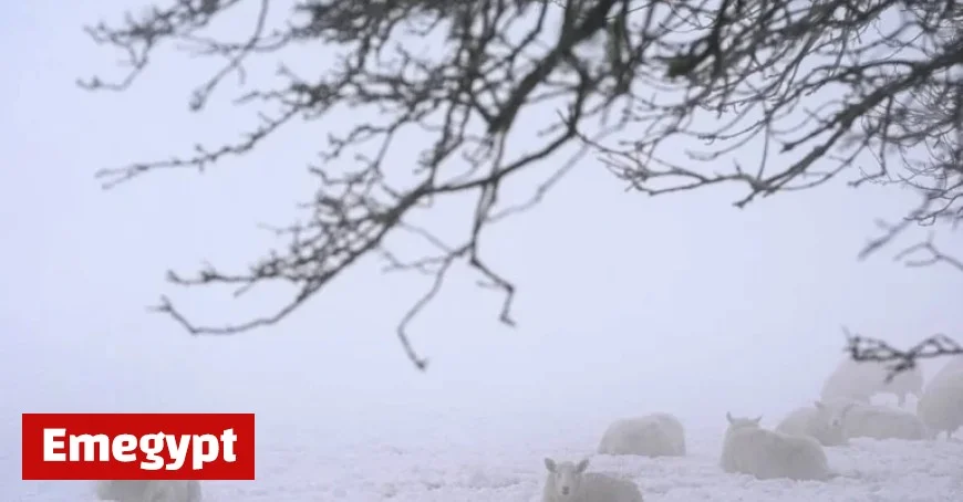 Severe Snow and Ice Alert Announced for Five Key Counties