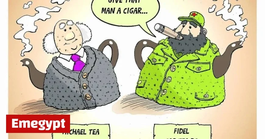 New Áras an Uachtaráin Leader Appeals to Left-Leaning Voters with Poetic Charm