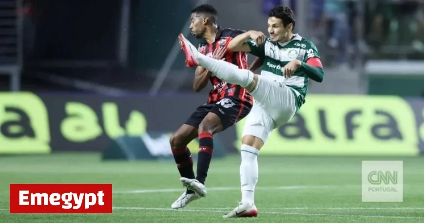 Brazil Palmeiras Draws at Home Increasing the Gap to Title for Coach Abel