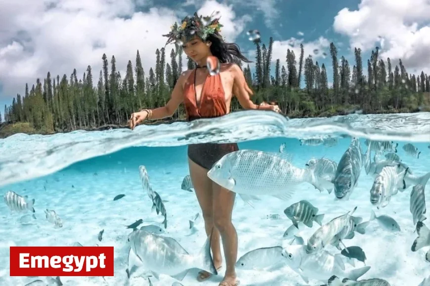 New Caledonia Tourism Unveils Innovative B2B Website for Travel Industry Professionals