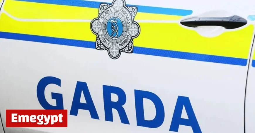 Gardaí Investigate Light Aircraft Crash Site in Waterford