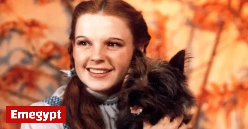 2026 Release Set for Captivating Documentary on the Making of The Wizard of Oz Film