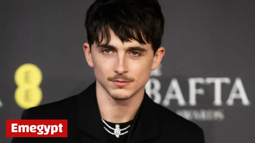 Could This Secretive UK Rapper Be Timothée Chalamet in Disguise