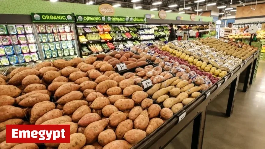 Discover Thanksgiving Day Shopping: Marshfield Grocery Stores Open for Last-Minute Essentials