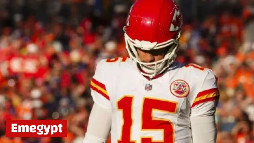 Remembering Sandra Forte of Garristown Meath A Life Well-Lived