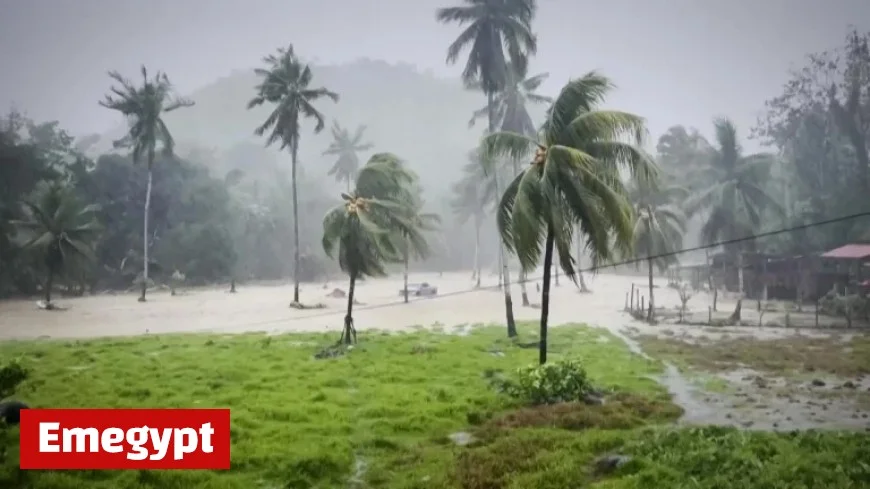 Centuries-Old Shipping Relic Unearthed by Typhoon’s Force