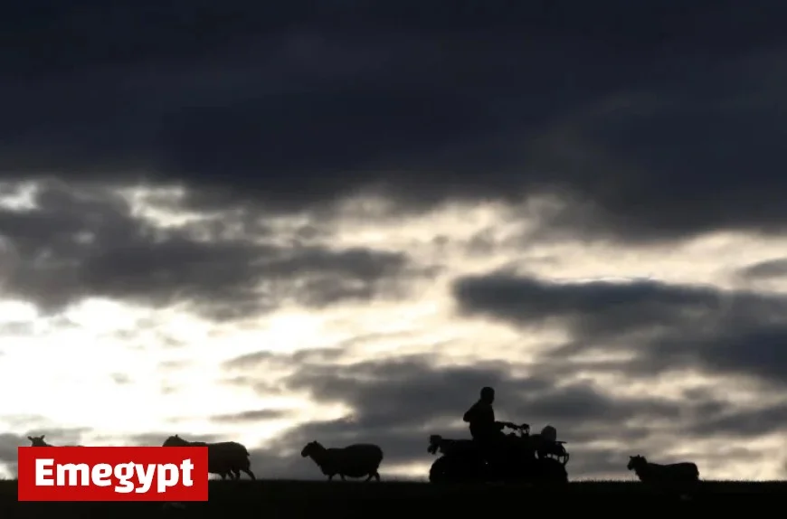 Budget Uncertainty Threatens Young Farmers as Sales Dwindle After 100 Years