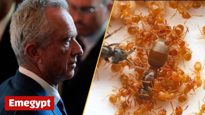 This week’s top science stories: CDC faces turmoil, NASA unveils new 3I/ATLAS images, and strategies to prevent an insect apocalypse