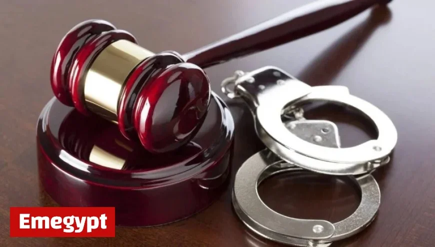 Teen Caught Red-Handed in Fatal Kildare Town Assault Connection