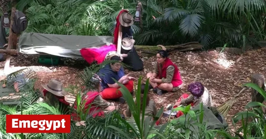 I’m A Celebrity Fans Surprised by Unexpected Jungle Relationship