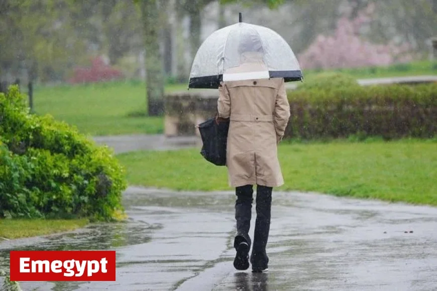 Status Yellow Fog Warning for 11 Counties Just Before Wet and Blustery Weekend