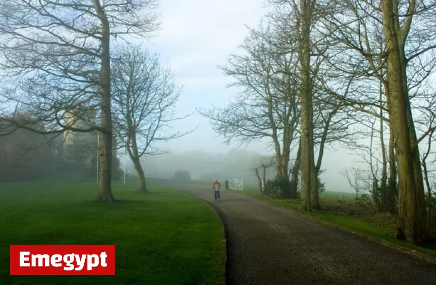 Dense Fog Alert Issued for 11 Counties This Morning in Status Yellow Warning