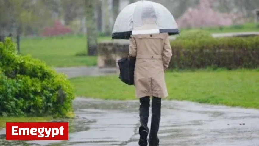 Protest Erupts with Car Honks and Funeral March Following Bolsonaro’s Preventive Detention by Federal Police