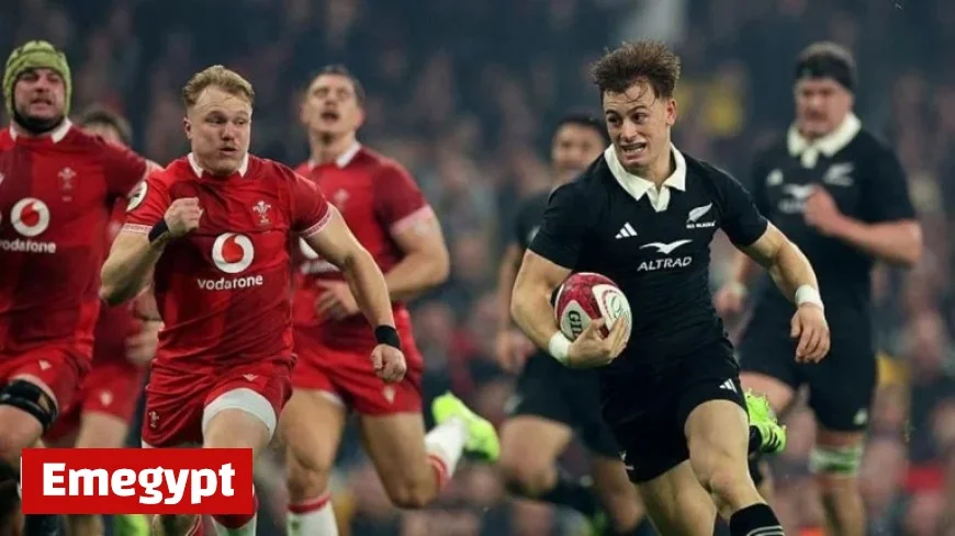Wales vs New Zealand Live Score: Autumn Internationals Rugby Updates and Lineups