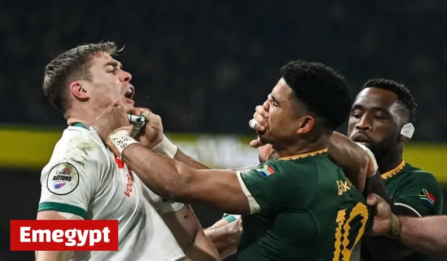 Ireland Fans Outraged by Huge Referee Oversight Against Springboks