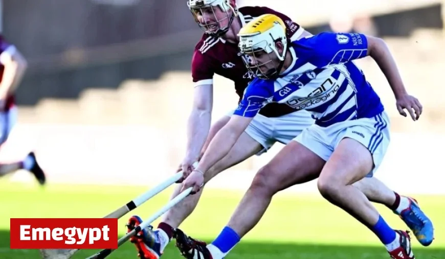 St Martin’s Dominates Naas to Secure Spot in Leinster Club Semi-Final