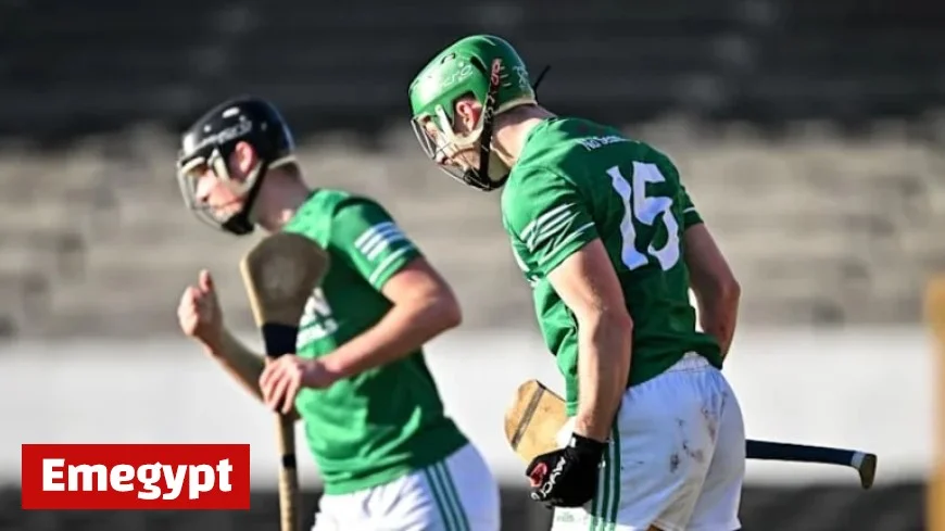 Shamrocks Ballyhale Triumph Over Resilient Clough-Ballacolla in AIB Leinster Club SHC Clash