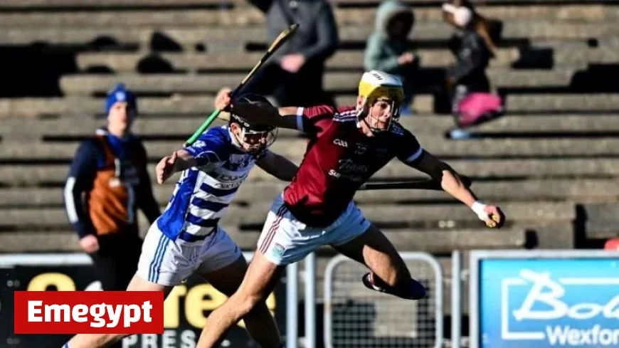 AIB Leinster Club SHC: Dominant Martin’s Advances to Croke Park Final