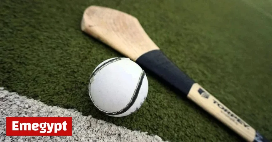 Kilkenny Set to Clash with Wexford in Exciting Leinster Club Hurling Final