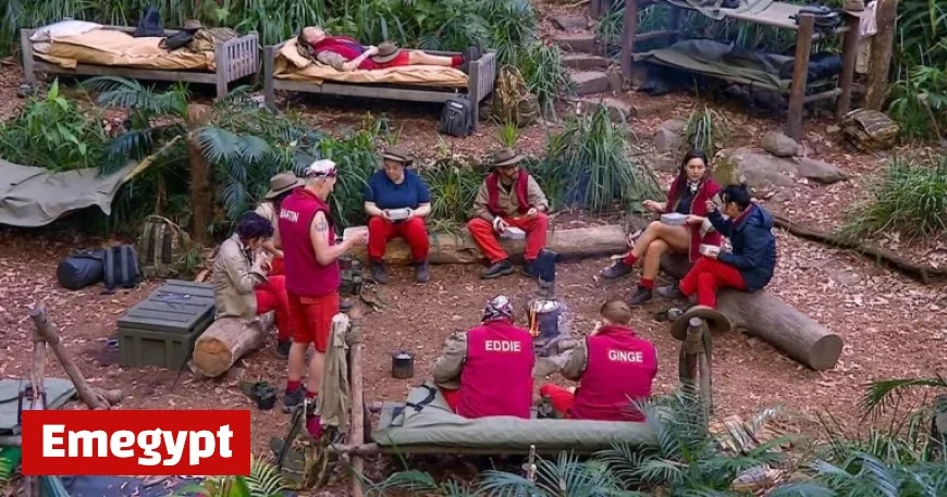 TV Expert Predicts Unexpected First Elimination on I’m A Celeb