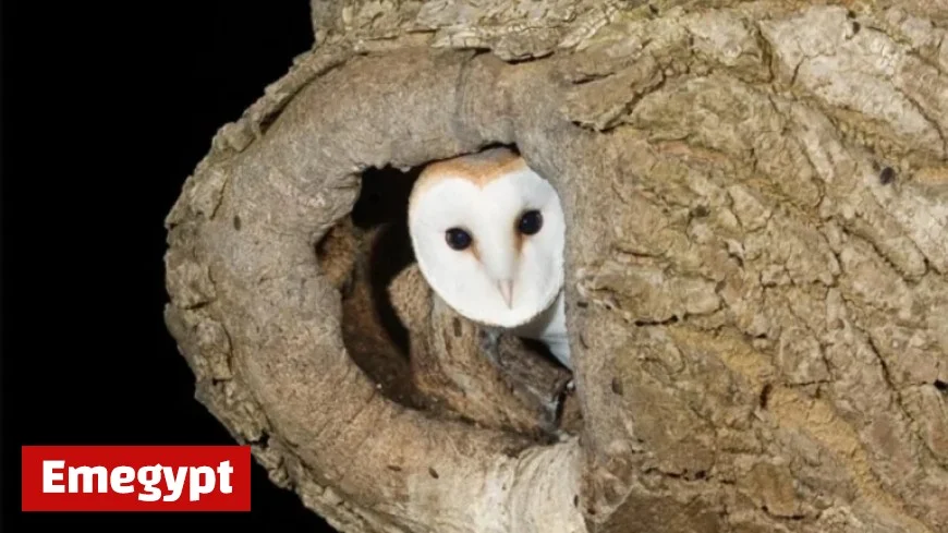 €3 Million Funding Boosts Biodiversity Projects Nationwide