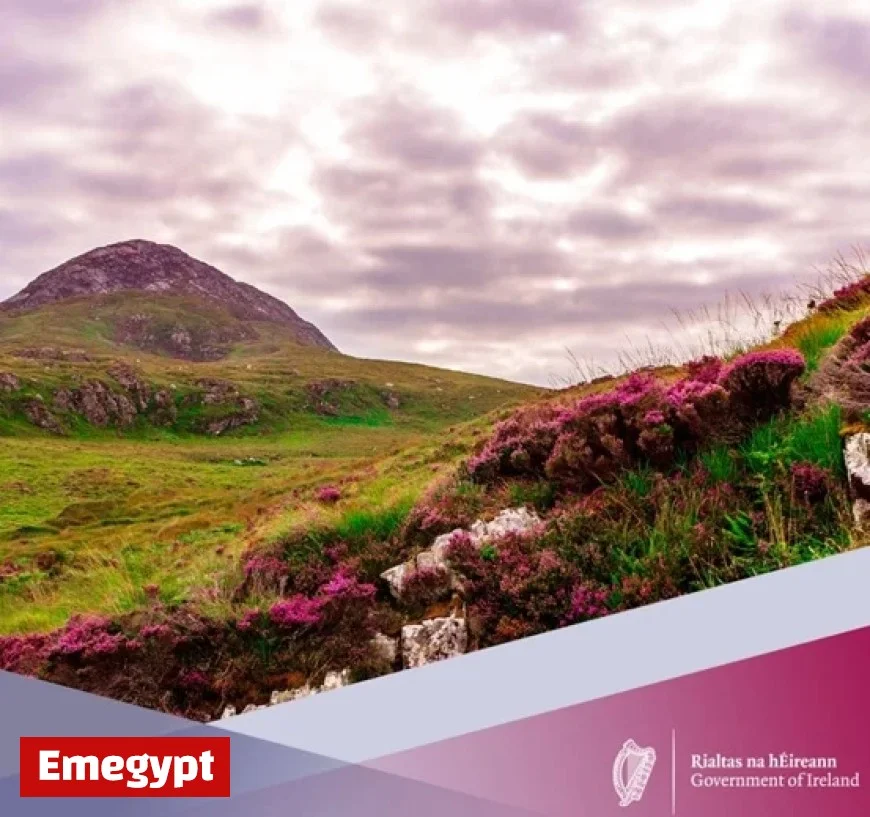 Donegal Biodiversity Boost: Over €97000 Funded for Seven Local Conservation Projects