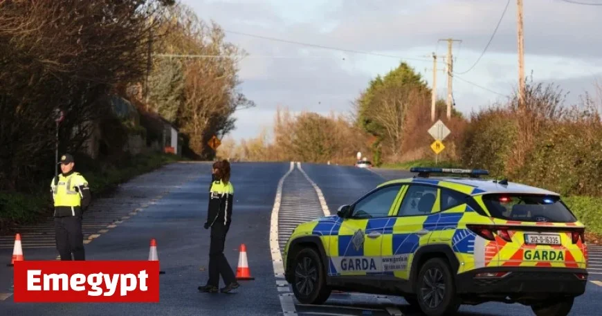 Bus Eireann Crash in Co Meath Leaves Several Seriously Injured
