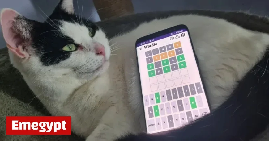 Discover Today’s Wordle Clue and Solution for Sunday November 23