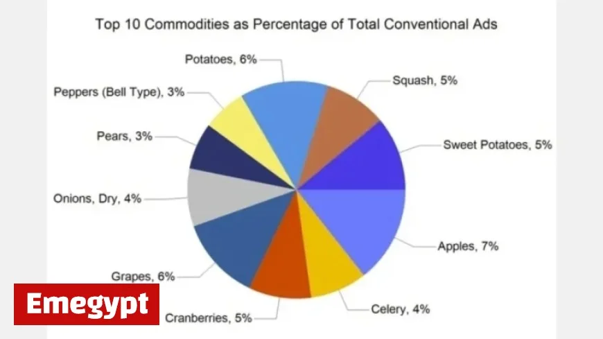 Thanksgiving Week Sparks 17 Percent Increase in U.S. Produce Advertisements
