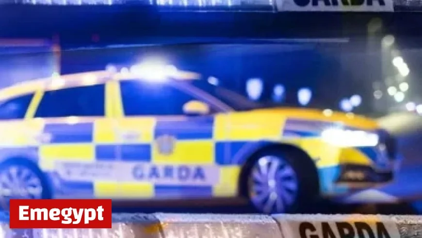 Catch the Exciting Feature on Former Kilkenny Hurler DJ Carey Airing on RTE This Week