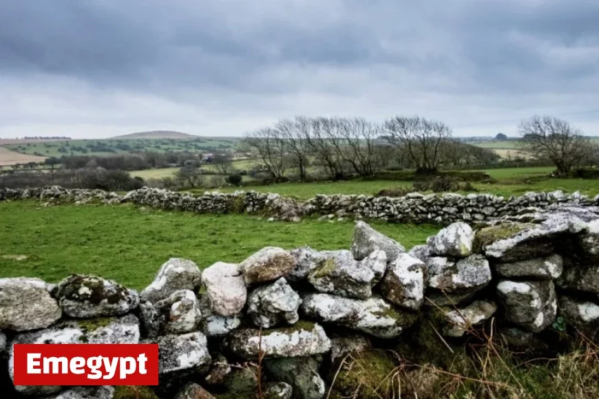 Met Éireann Forecasts a Week of Varied Weather Conditions Across Ireland